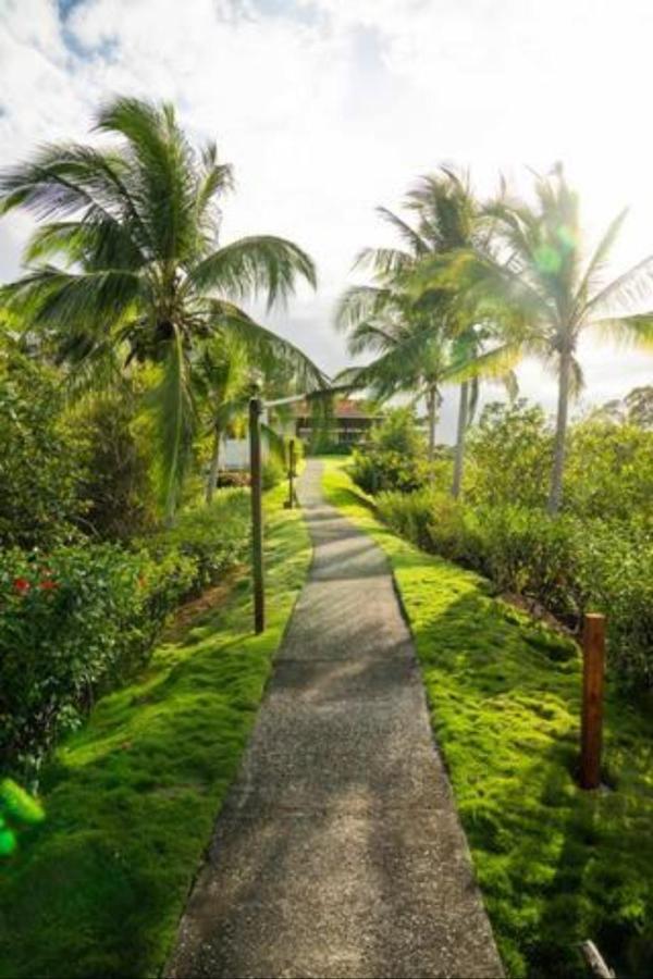 Casa Marlin Bed & Breakfast โบกัสทาวน์ ภายนอก รูปภาพ